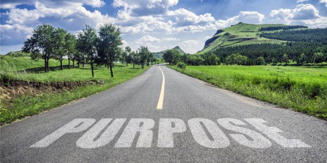 What exactly is the purpose of PURPOSE?
