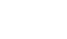Budgie Love