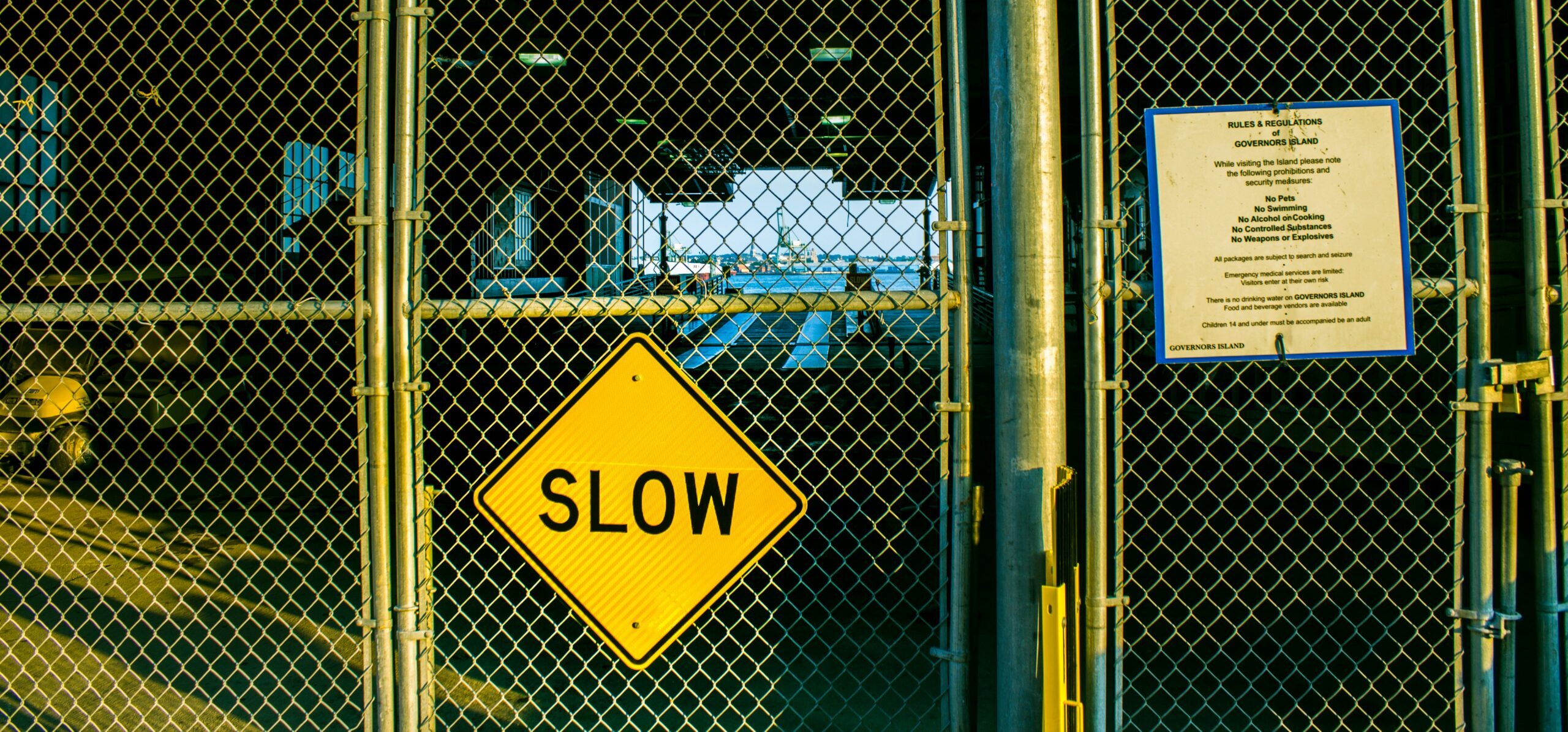 The A–Z of 2025 Cultural Insights: S is for Slow