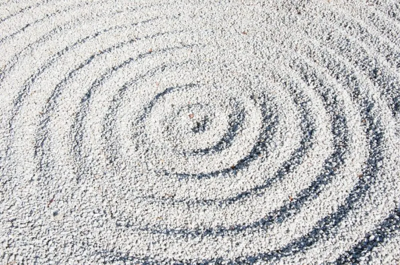 Featured image for article: The A–Z of 2025 Cultural Insights: Z is for Zen