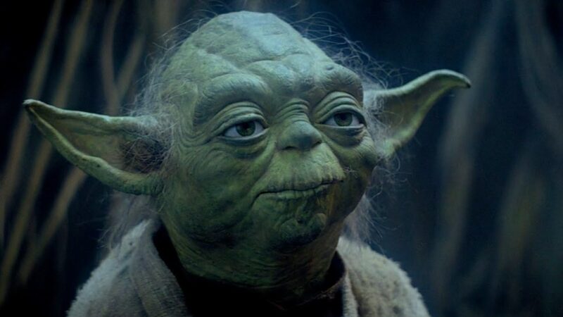 Featured image for article: 4 zen movie quotes that explain the power of market research