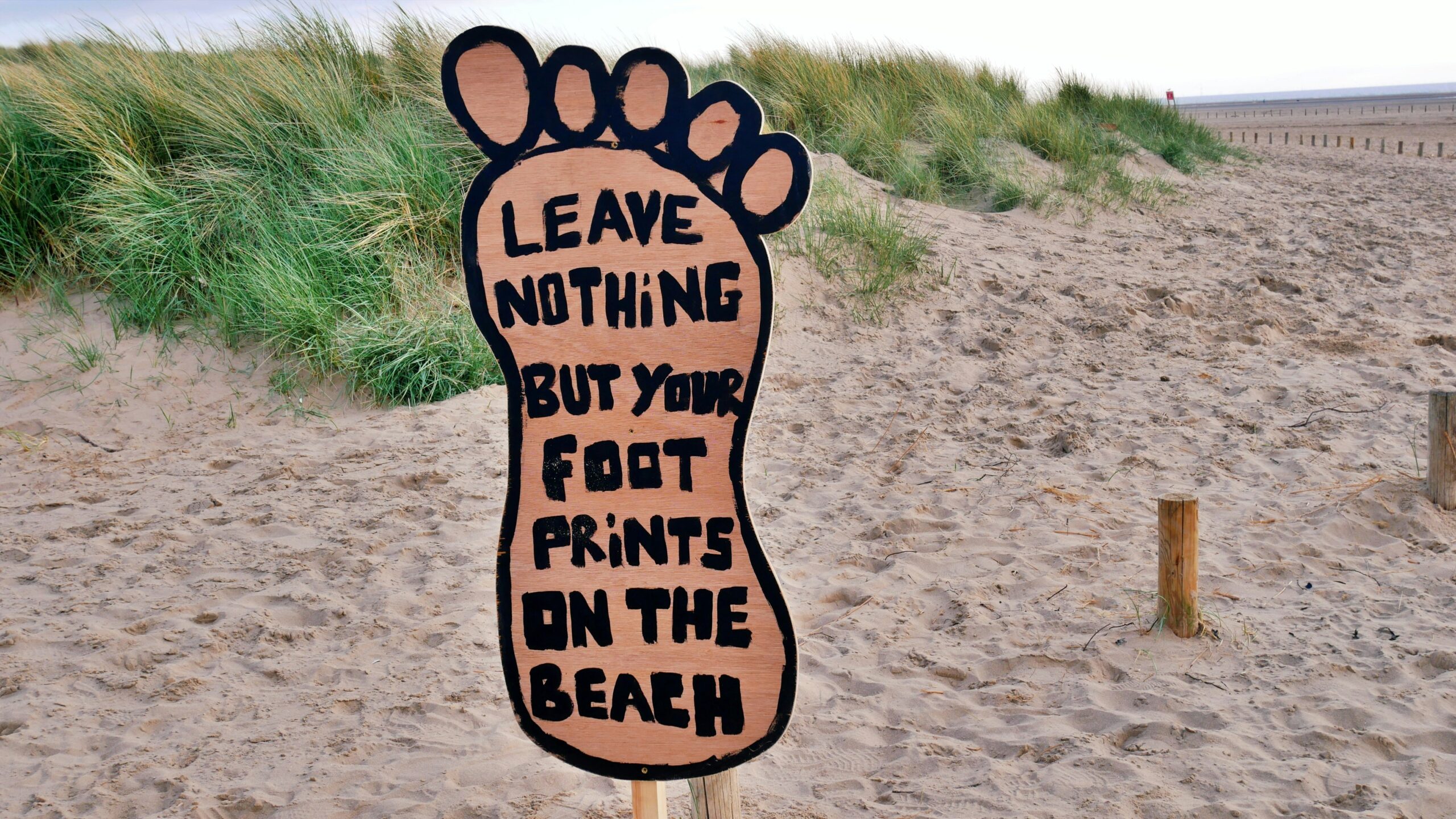 Is eco-tourism the future of travel or just a buzzword?
