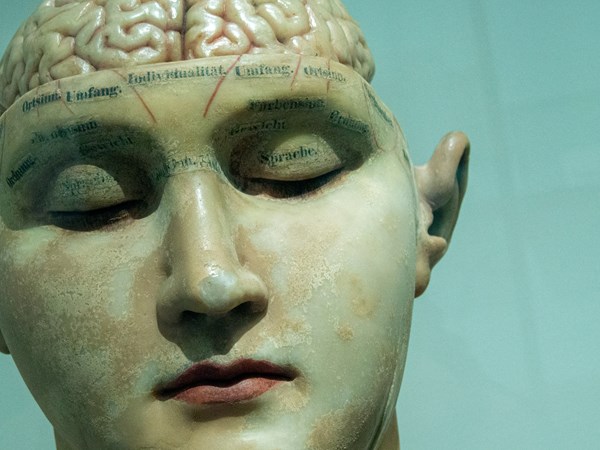 Featured image for article: Protecting our biggest asset: The Brain