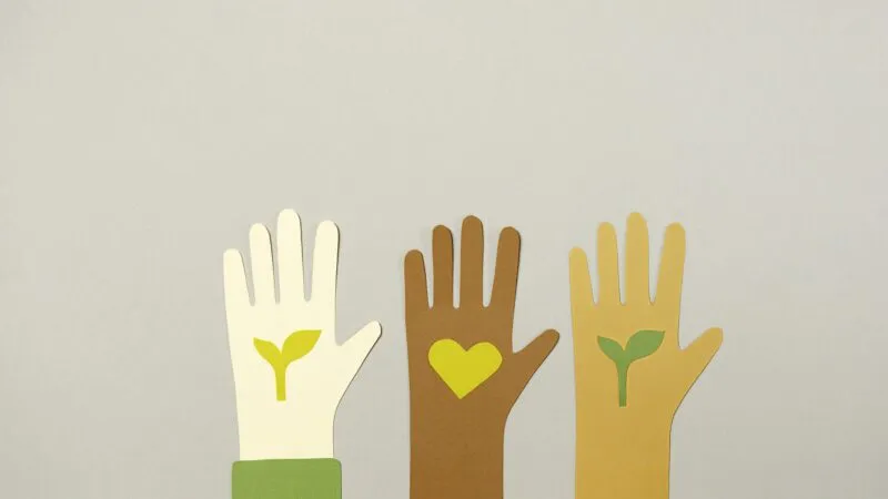 Featured image for article: The A – Z of 2026 Cultural Insight Sectors: N is for Not-for-Profit Sector