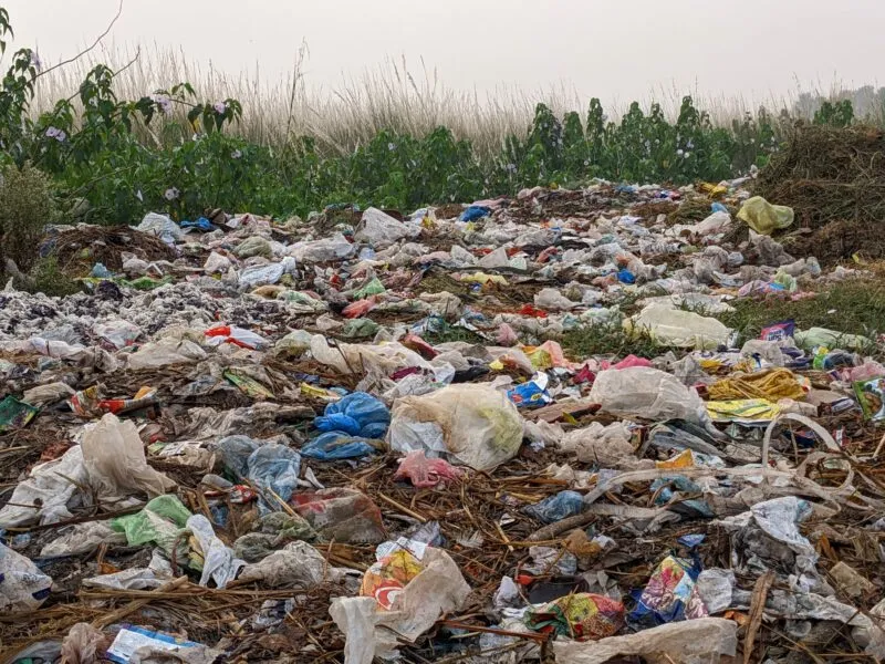 Featured image for article: The A – Z of 2026 Cultural Insight Sectors: P for Plastics