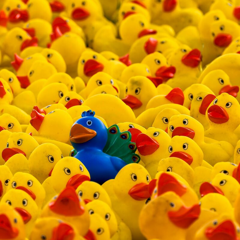 Featured image for article: Brand and belonging – We want to fit in, but we don’t want to be the same